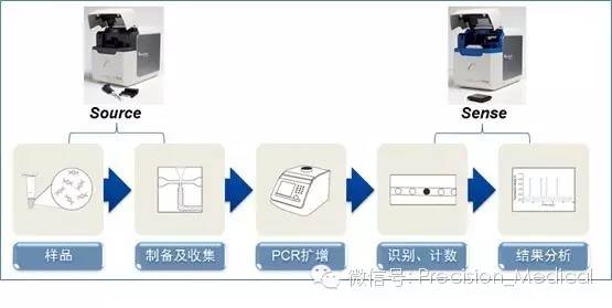 基因突變檢測技術 原理、應用與未來展望